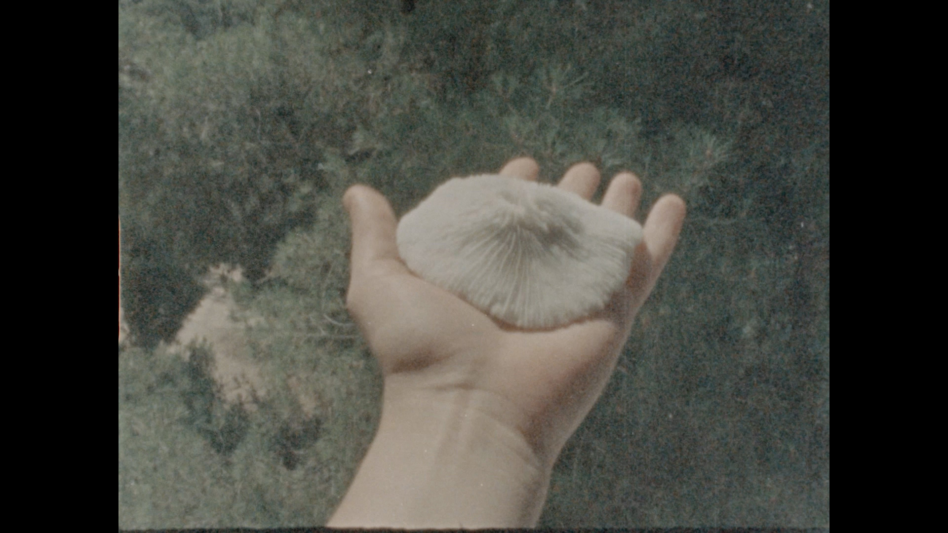 Still from the project: the potential stored in ordinary things 4